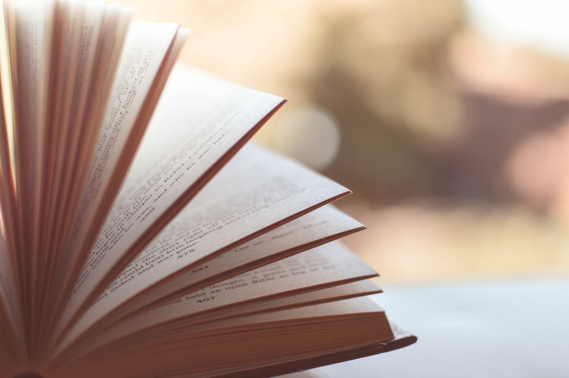 Lesen, Lesespaß, Lesewettbewerb