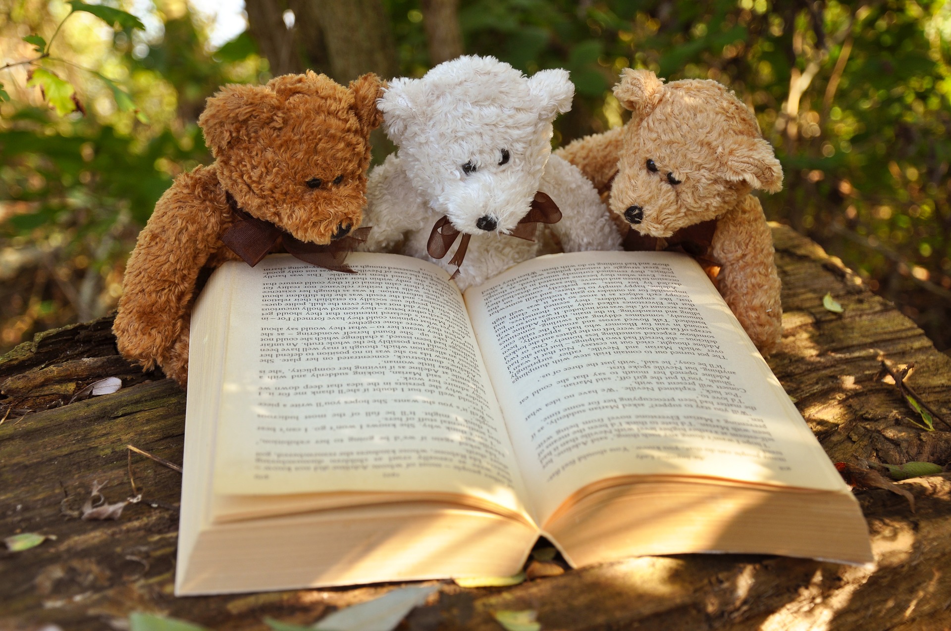 Lesen, Lesespaß, Lesewettbewerb